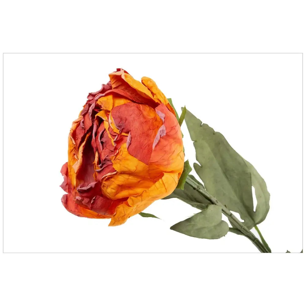 Peony Stem - pink