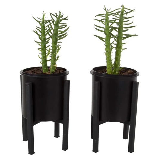 Planter with Stand Set - PABOOM
