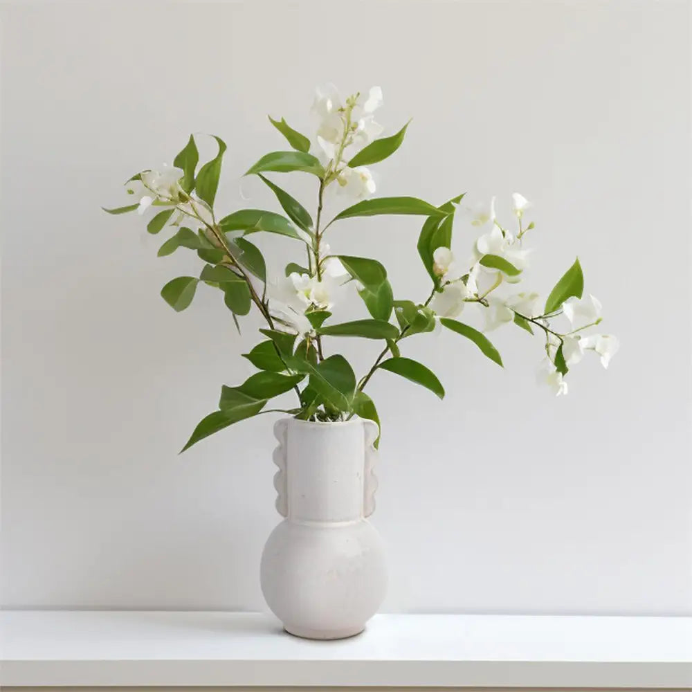 Wavy Edges Vase - PABOOM