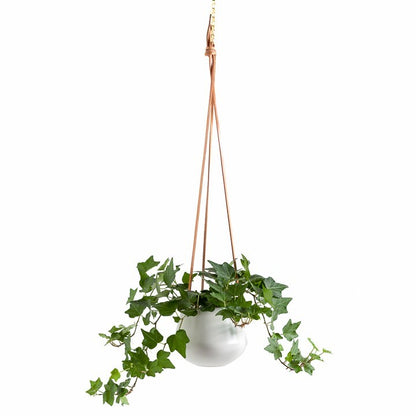 Ashbury Hanging Planter White Small