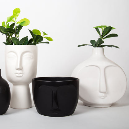 Face Planter